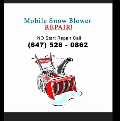 Is your snowblower not starting? I offer mobile snowblower service and repairs right at your doorste...