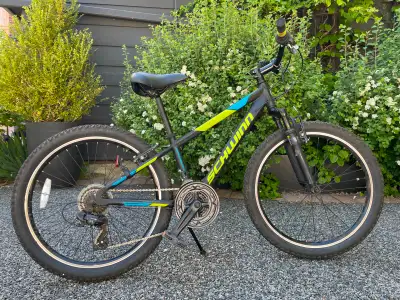 Schwinn Breaker 24" kid/teen Mountain Bike, View more