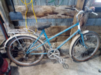 Blue Woman's Raleigh Bike For Sale