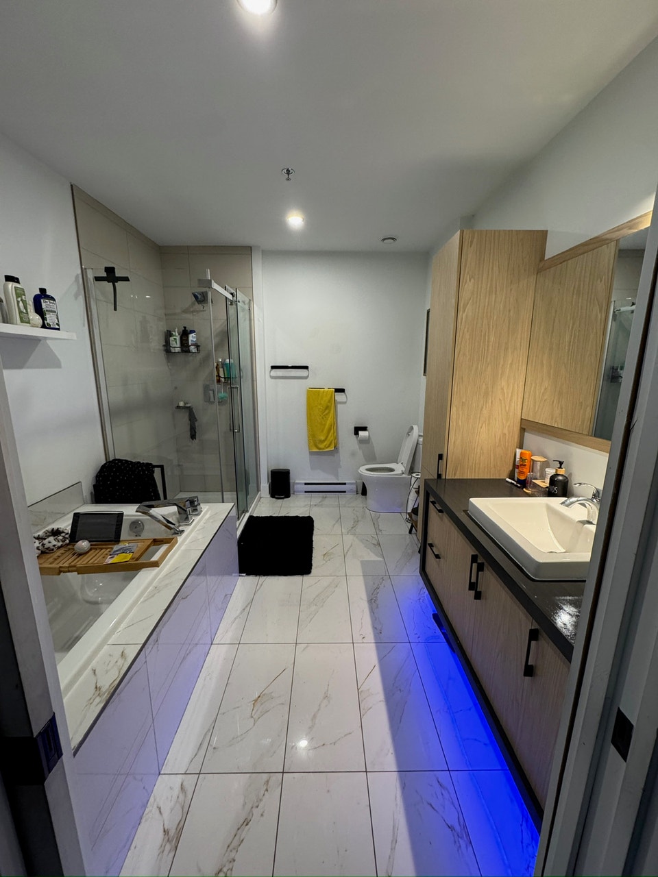 Grand 4 1/2 Chiens Acceptés, 2 Places de Garage, Internet 5