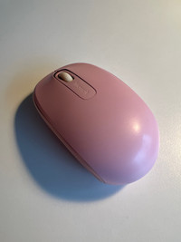Microsoft Wireless Mouse $15