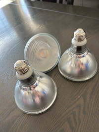 3 dimmable LED 900 lumens Philips bulbs 