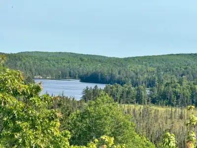 SEEKING 3 bed plus basement or 4 bed for rent