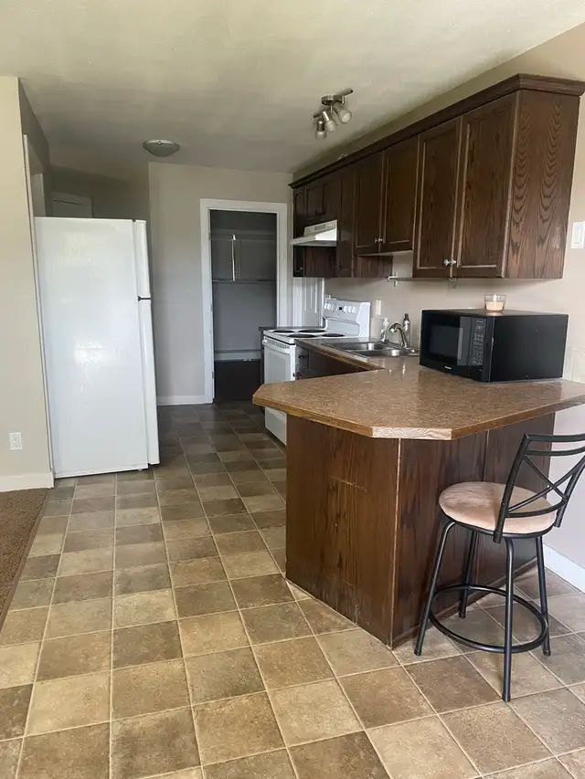 2 Bedroom walkout Basement Suite