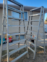8' Sturdy ladder