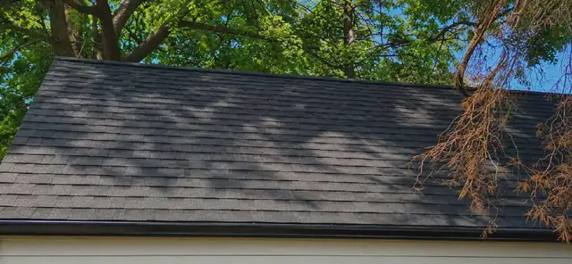 Pack Leaders Contracting | Roofing & Repairs502213981074237442