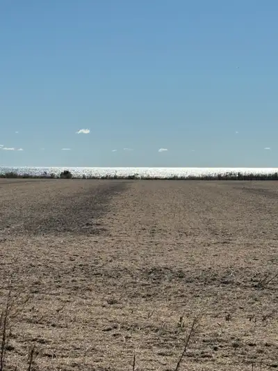 large 1.6 acre, 99’ frontage lots on Lake Erie east of Wheatley. Water connections are in, ready to...