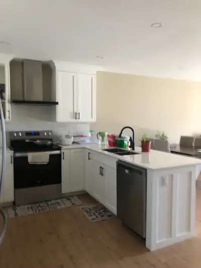 This is a wonderful house for families. No pet, no smoking .