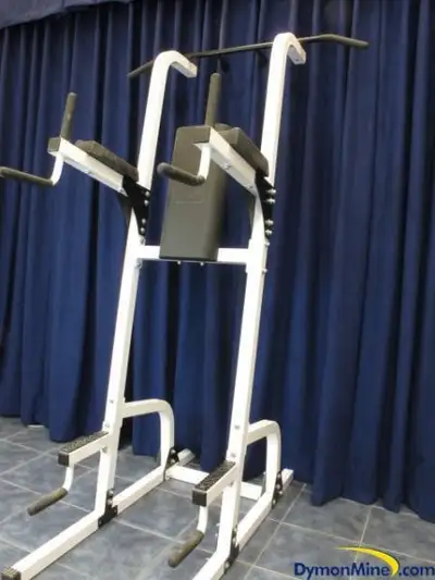 Northern Lights Power Tower Chin Up Dips VKR Push Up Machine, View more