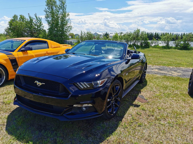 Mustang GT 2015 dans Autos et camions  à Ville de Québec - Image 2