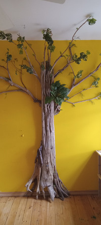 Indoor Trees built in your home or cottage