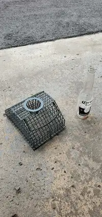 Live mouse trap 