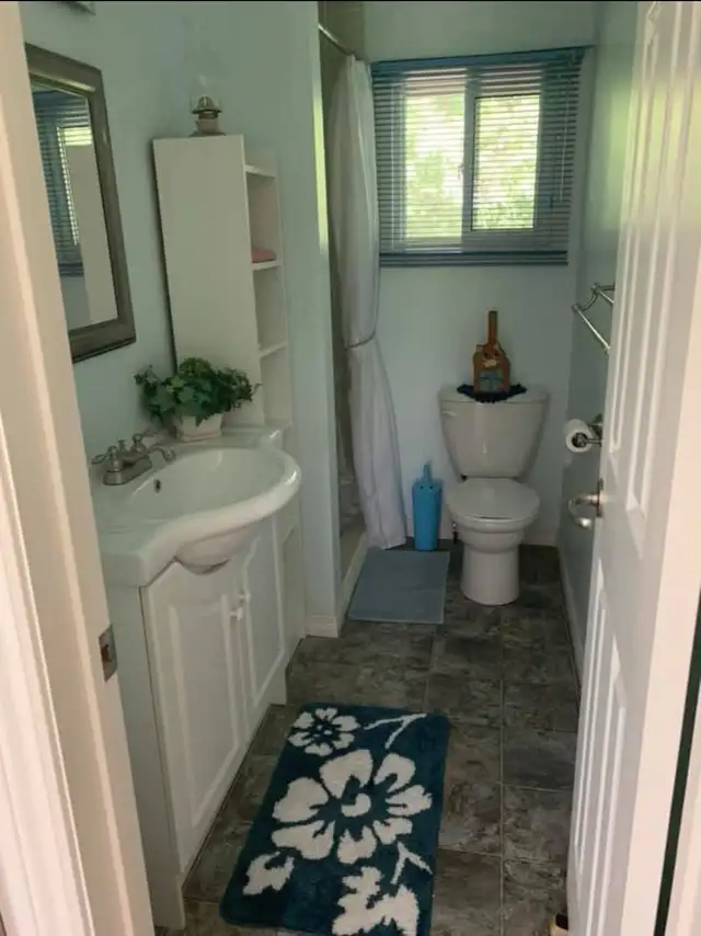 COTTAGE FOR RENT IN KAWARTHA LAKES in Ontario in Canada - Image 6