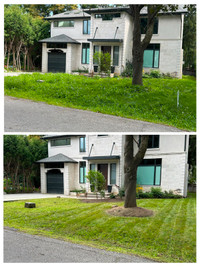 grass cut- for sale Waterloo, Kitchener