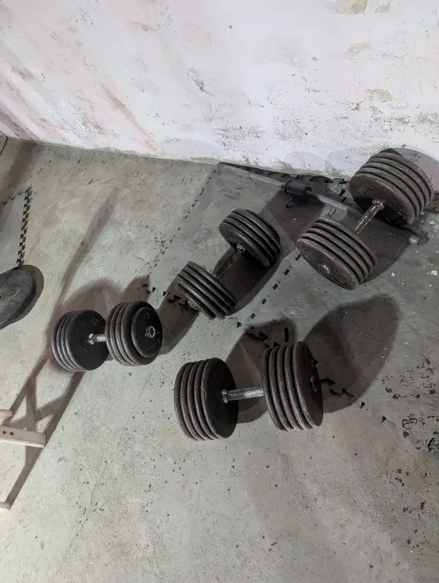 Paires de Dumbles 105 lbs et 95 lbs in Exercise Equipment in Saguenay - Image 2