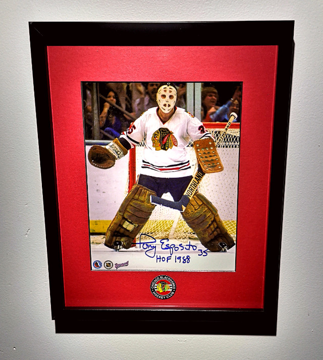 Tony Esposito autographed  dans Art et objets de collection  à Grand Bend