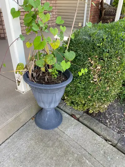 Urn Planter, View more