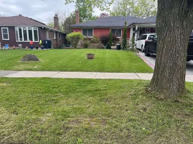 Grass cutting/ lawn mowing service63235119944833123