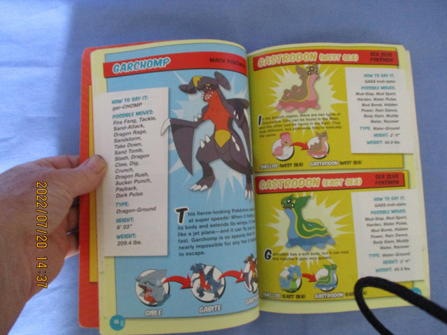 Pokemon Sinnoh Handbook in Comics & Graphic Novels in Kingston - Image 3