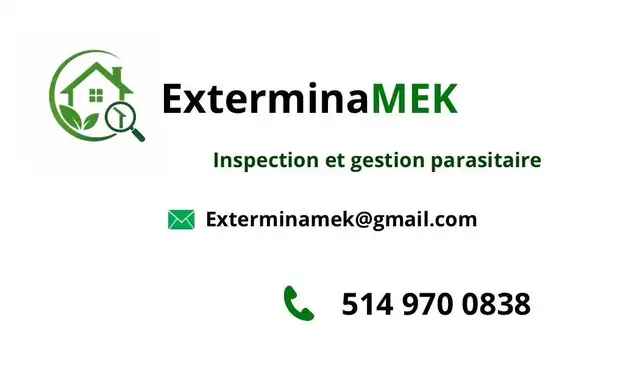 Pest Control Service – Professional Pest Management