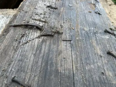 Bois de grange, View more