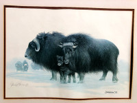 James Lumbers "MUSK OXEN" (1975) Limited Edition Print (signed b