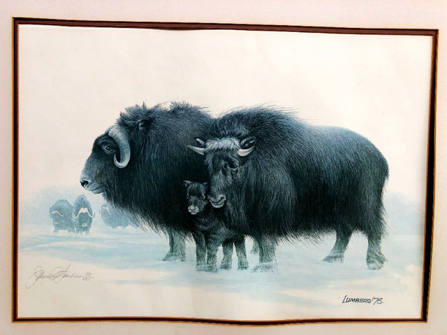 James Lumbers "MUSK OXEN" (1975) Limited Edition Print (signed b in Arts & Collectibles in St. Catharines