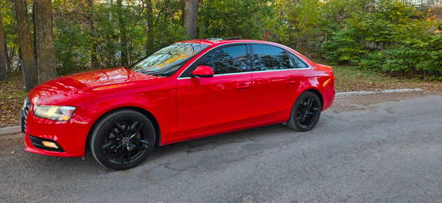 2013 Audi A4 Quattro. Excellent shape. in Cars & Trucks in Ottawa - Image 2