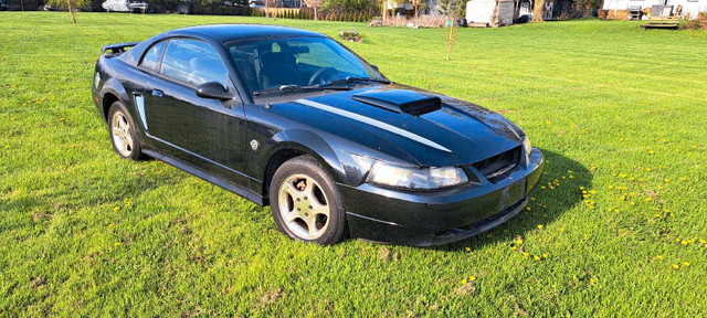 2004 Mustand par out in Cars & Trucks in St. Catharines