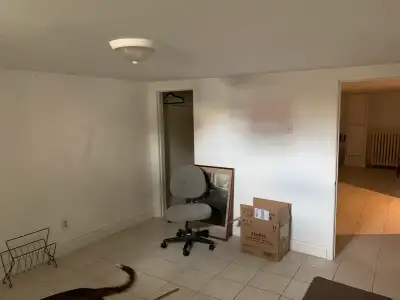 room for Rent ( available July 1st.)