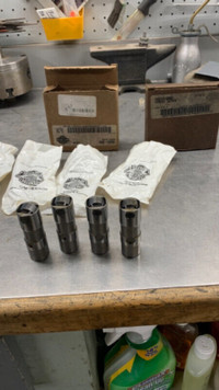 Harley Davidson Hydraulic Lifters