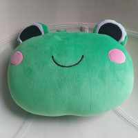 Claire's Frog Pillow & Blanket