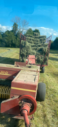 Hay for sale 6132909935