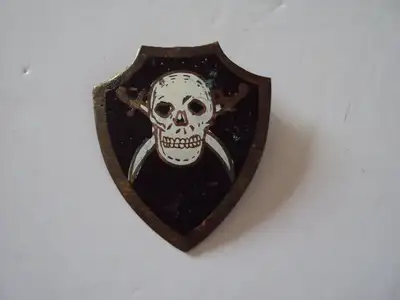 2 INCHES BY 1 3/4 INCHES SORRY I DON'T SHIP I LIVE IN KESWICK