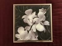 Cadre floral 20¨X 20¨