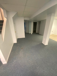 Newly Renovated Basement for Rent