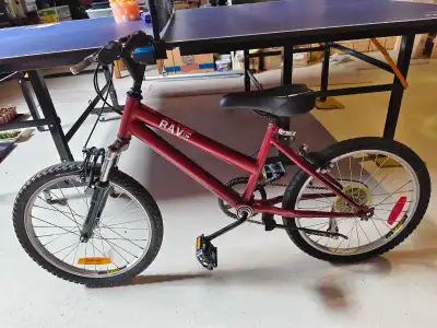 kid bike 20 inch, View more