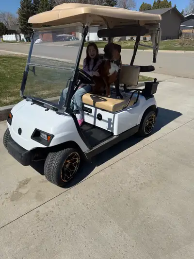 Full lithium conversion. Battery gets 50km+ on one charge. LED headlights and taillights. Brand new...