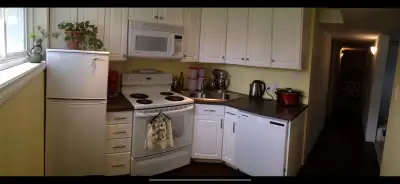 Basement Suite, soaker tub, AC, utilities included