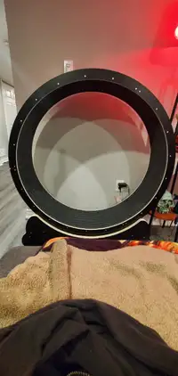 Large Cat Wheel