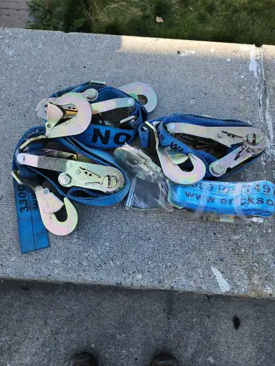 ERICKSON 2 in. x 7 ft 10,000 lb Machinery Ratchet Tie-Down Strap, View more