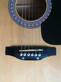 Burswood acoustic guitar signed by Esteban