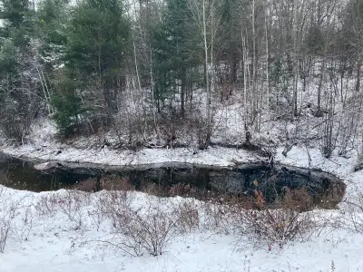 1.25 acres of vacant land for sale in Muskoka. Zoned RU. There is deeded access to the Housey's Rapi...