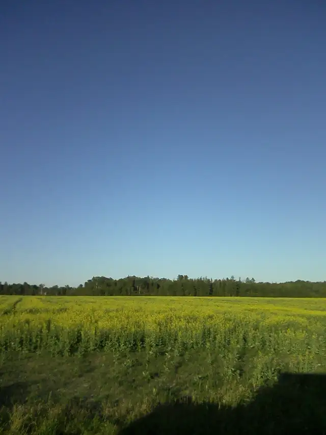 real estate for sale - vacant lots62863267676803121