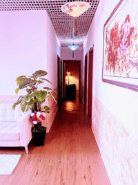 Centre de massage chinois RMT,514-568-8856