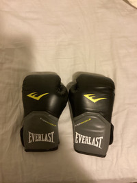  Youth everlast pro boxing gloves