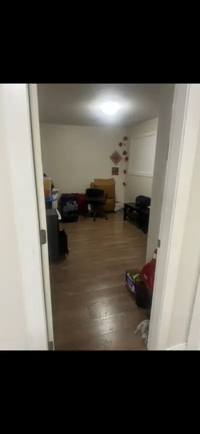 Need 1 person to share 1 bedroom ground level basement with another boy who is settled in living are...