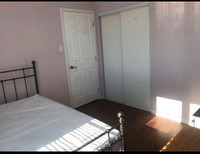 Jun 1st, a clean quiet room in a townhouse for rent 