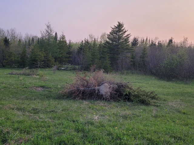 Land in off grid community in Long Term Rentals in Timmins - Image 4
