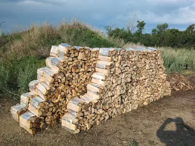 Poplar firewood bundles -free delivery to Saskatoon and some surrounding areas. 10/$105 35/$315 Incl...
